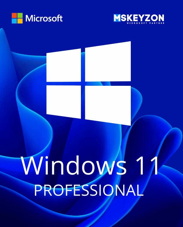 Windows 11 Professional