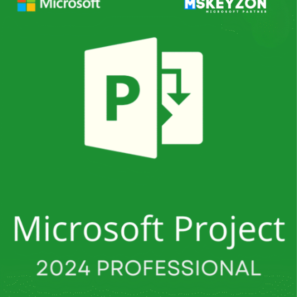 Project Professional 2024 – (PC)