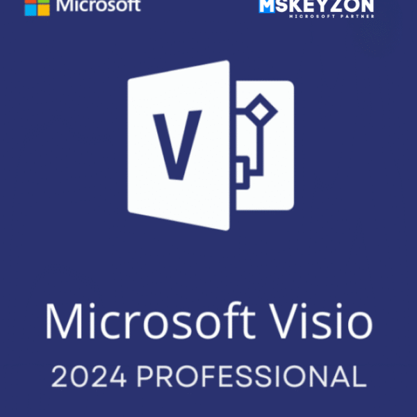 Visio Professional 2024 – (PC)